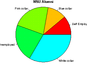 NSU Careers