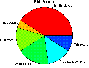 BSU Careers