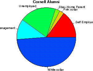 Cornell University Job