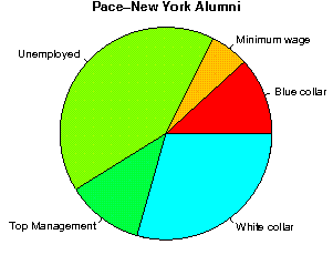 Pace-New York Careers
