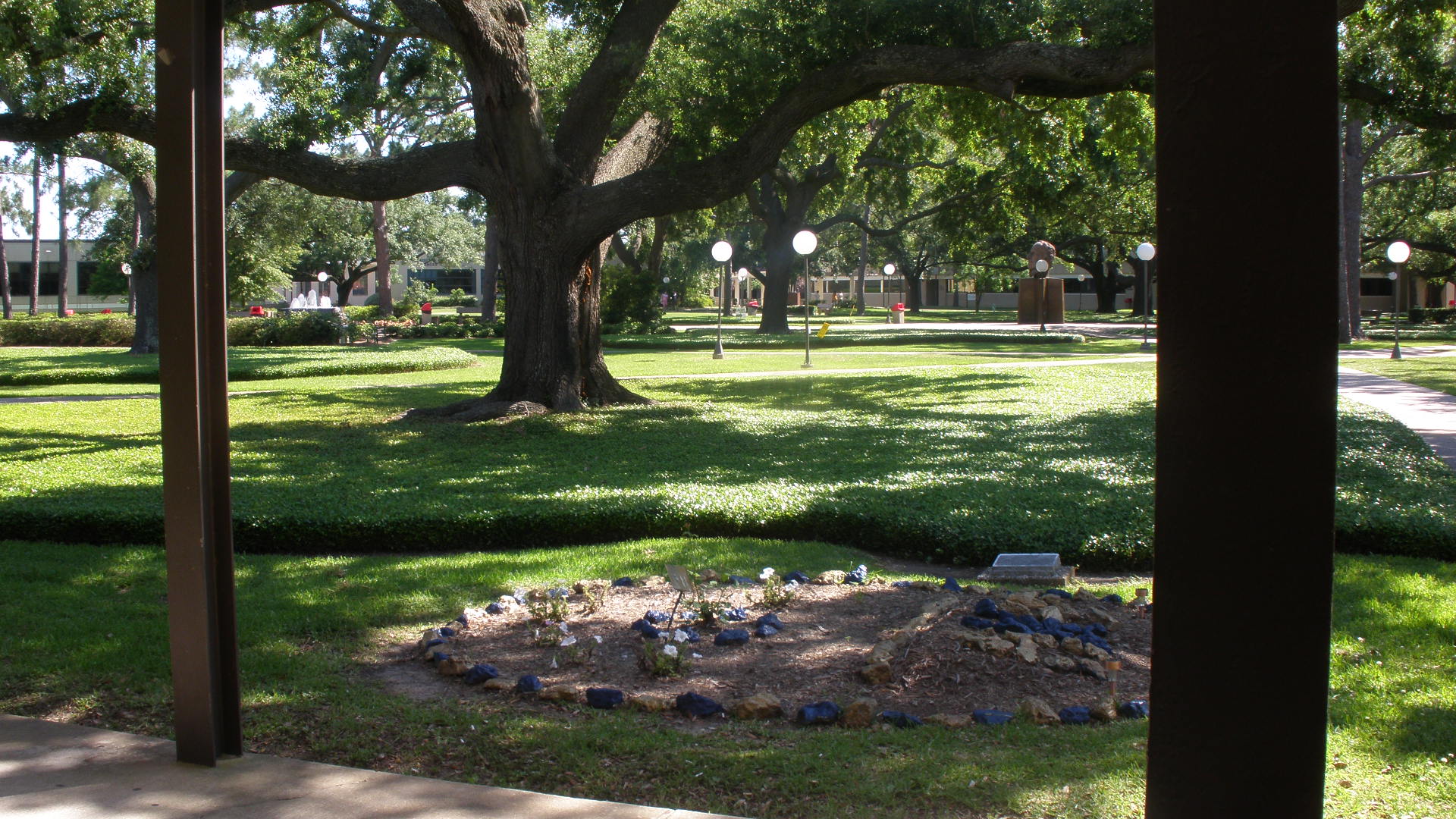 Lamar University Pictures