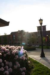 The University of Portland