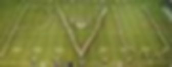 Prairie View A & M University